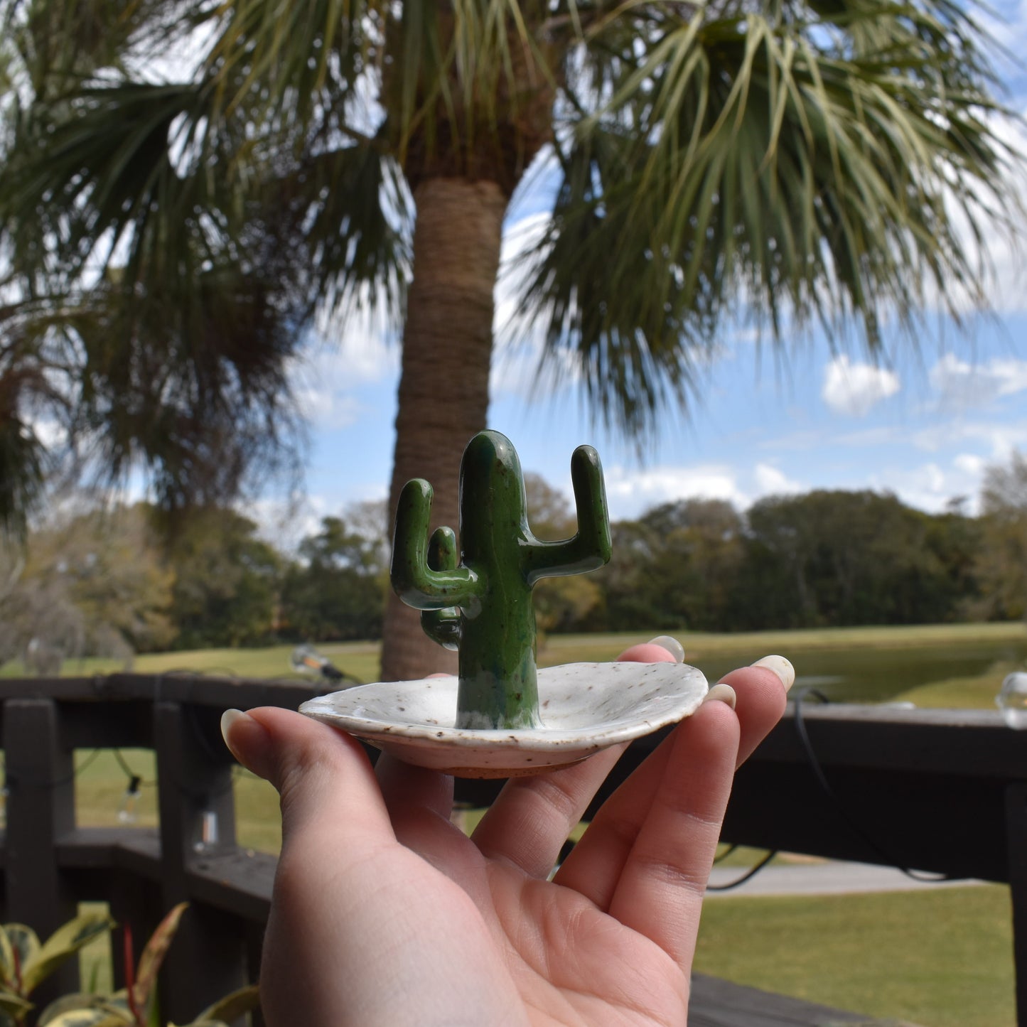 Cactus Ring Holder