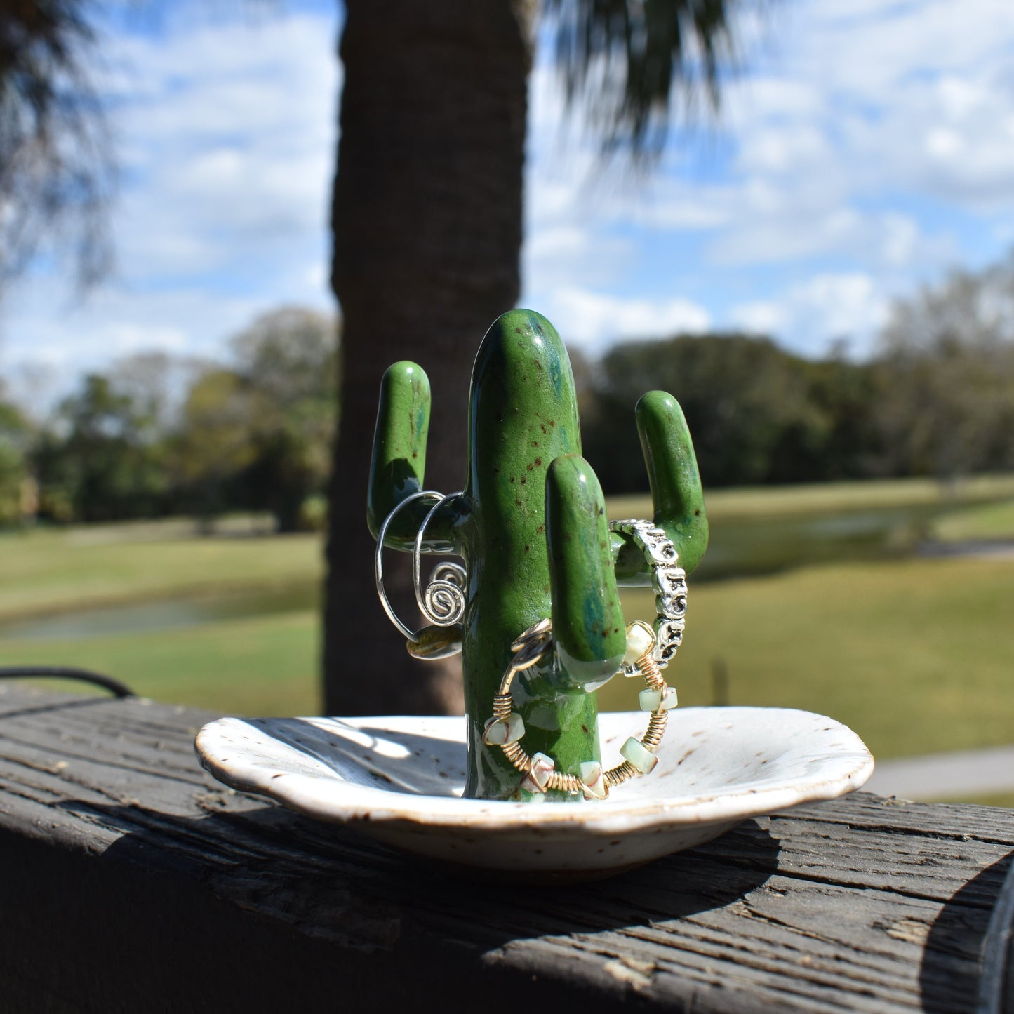 Cactus Ring Holder