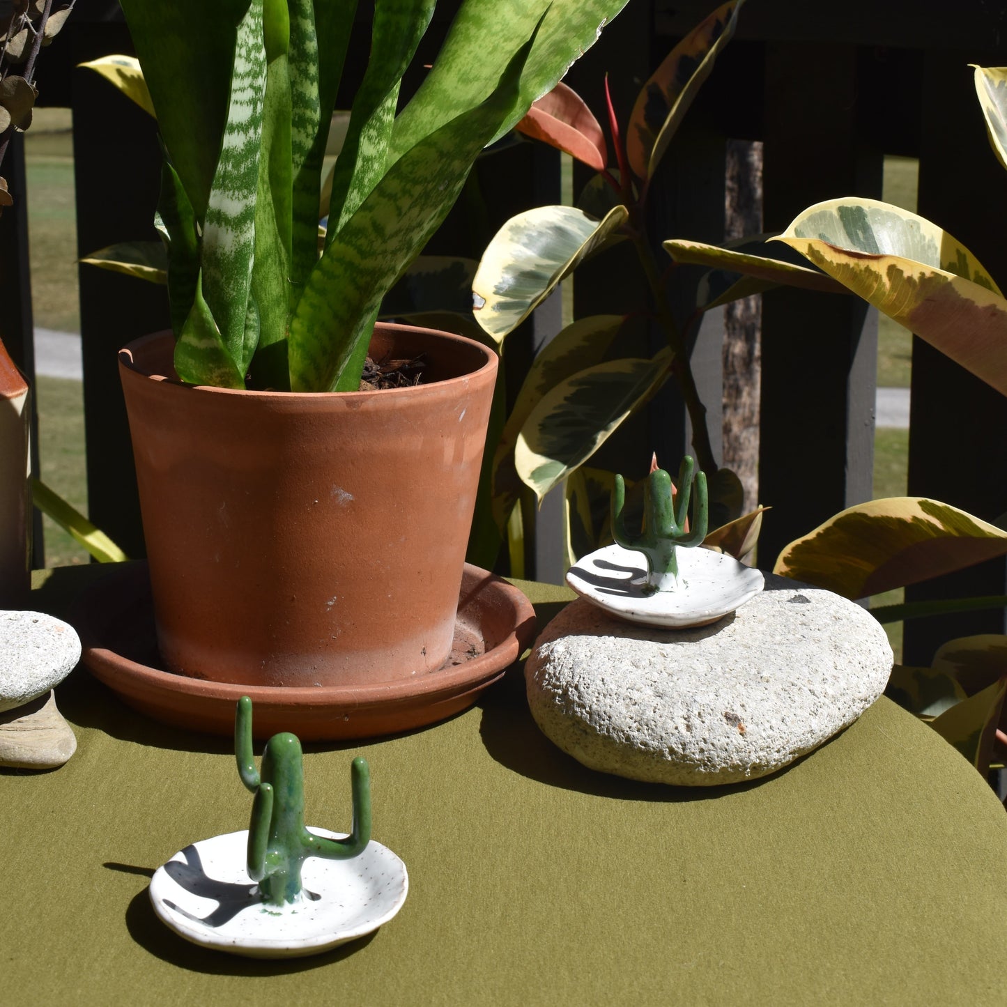 Cactus Ring Holder